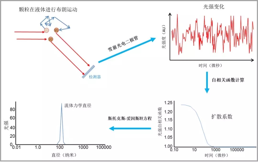 3.webp (2).jpg