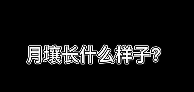 百特3000plus儀器被應(yīng)用于測試月壤